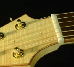 The Stealth Truss Rod Cover and Compensated Nut
