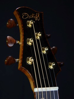 SSP Headstock